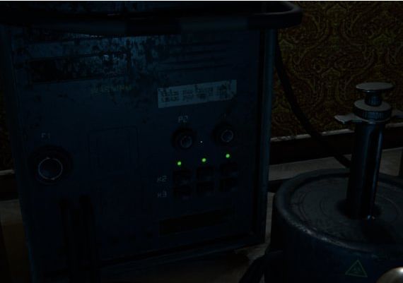 C15 EN/RU Global Steam Digital Key