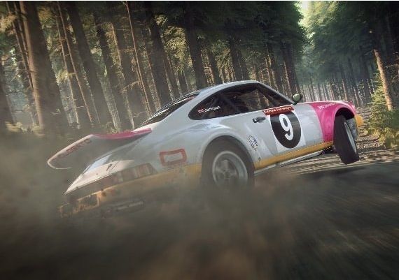 DiRT Rally 2.0 EN/DE/FR/IT/PL/JA/PT/ES EU Steam Digital Key