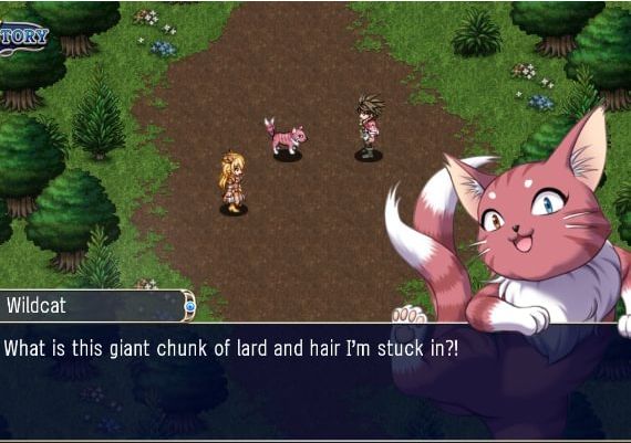 Asdivine Hearts EN/JA Global Steam Digital Key