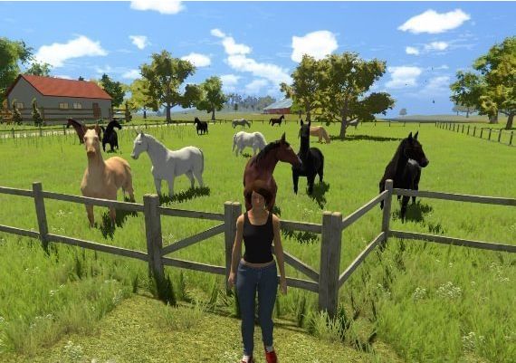 My Little Riding Champion EN Global Steam Digital Key