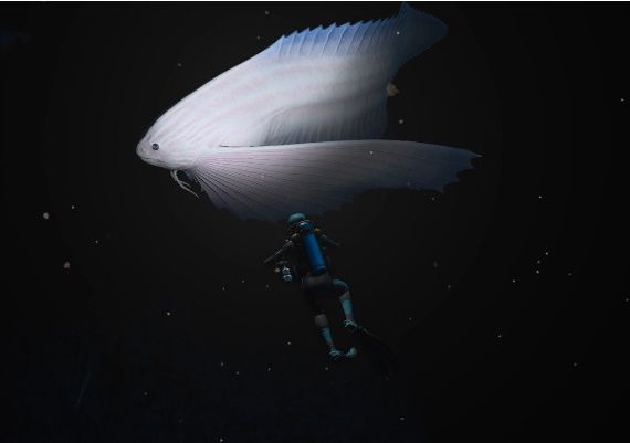 Endless Ocean Luminous EN United States Nintendo Switch Digital Key