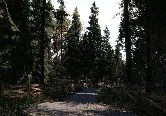 Room 54 EN/IT Global Steam Digital Key