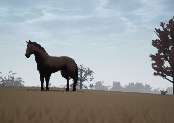 Adios EN Global Steam Digital Key