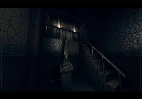 White Mirror EN Global Steam Digital Key