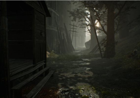 No70: Eye of Basir EN/DE/FR/ZH Global Steam Digital Key