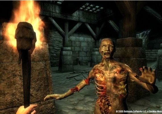 The Elder Scrolls IV: Oblivion GOTY Deluxe Edition EN RU/CIS Steam Digital Key