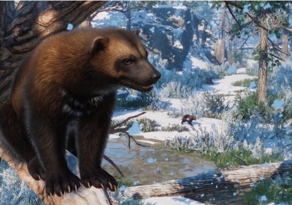 Planet Zoo - Eurasia Animal Pack DLC Turkey Steam Digital Key