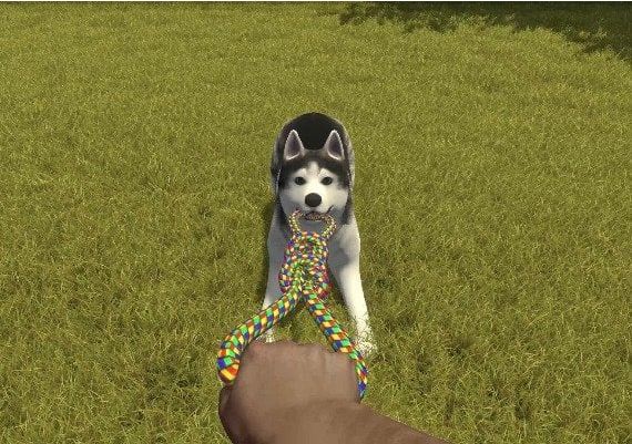 House Flipper: Pets DLC Global Steam Digital Key