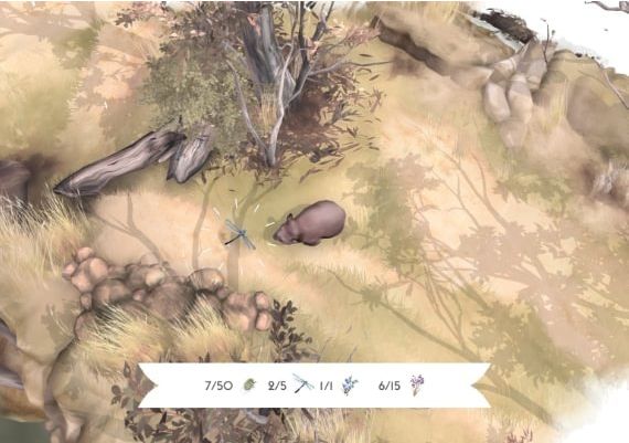 Paperbark Global Steam Digital Key