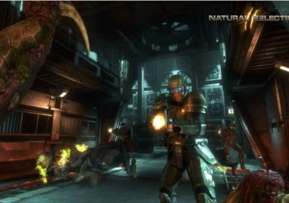 Natural Selection 2 EN/DE/FR/IT Global Steam Digital Key