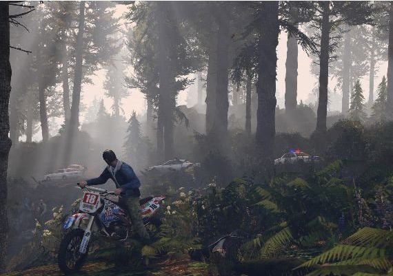 Grand Theft Auto Online: Tiger Shark Cash Card Rockstar Digital Key