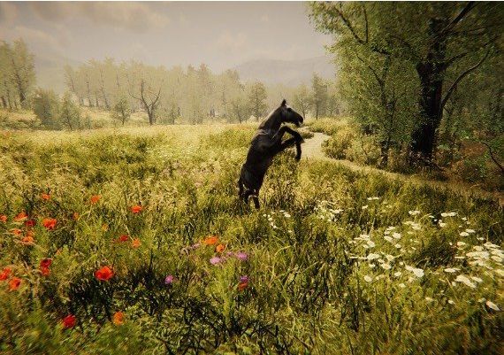 Animal Simulator EN/CS Global Steam Digital Key