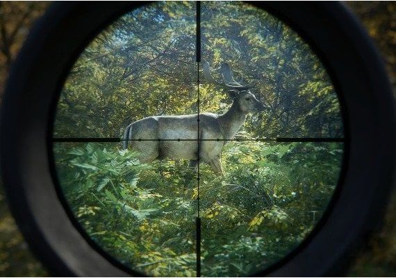 theHunter: Call of the Wild - Greenhorn Bundle Global Steam Digital Key