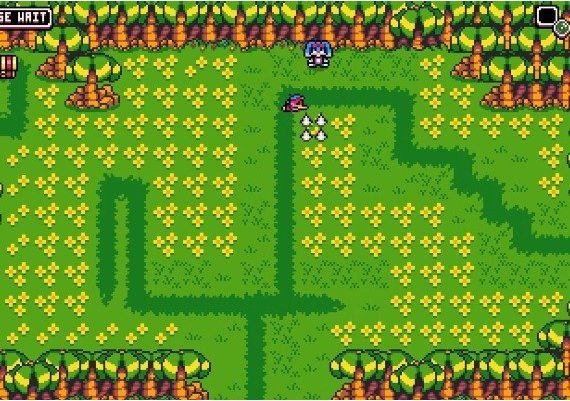 Dandy & Randy EN Global Steam Digital Key