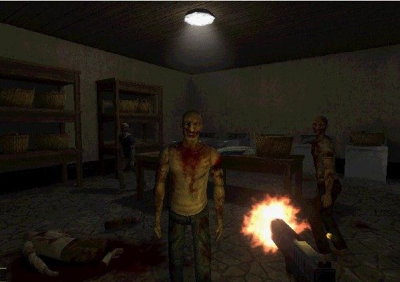 Nightmare of Decay Global Steam Digital Key