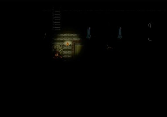 Clandestinity of Elsie EN Global Steam Digital Key