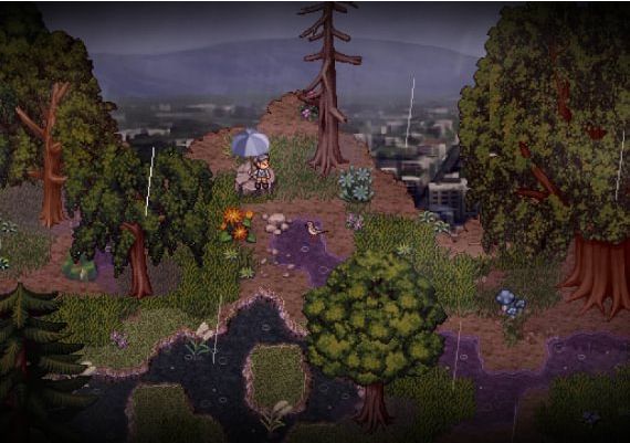 A Bird Story Global Steam Digital Key