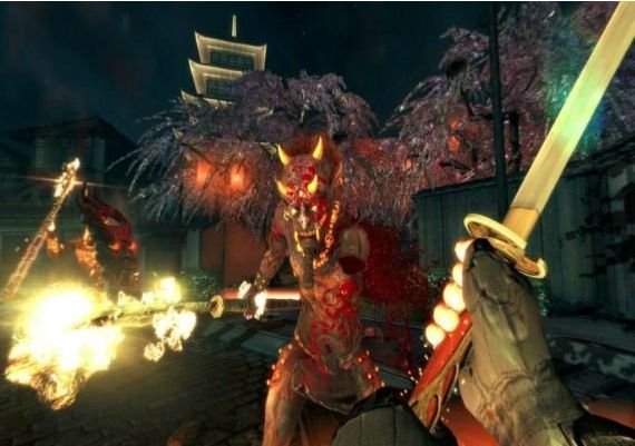 Shadow Warrior Special Edition EN Global Steam Digital Key