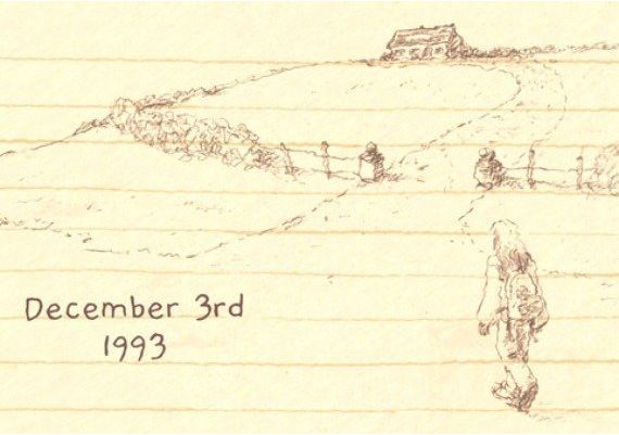 If Found Asia Steam Digital Key