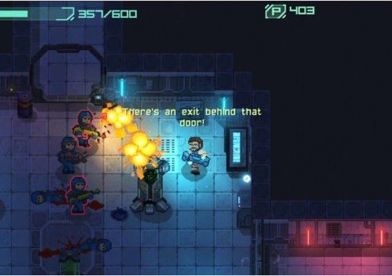 Endurance: Space Shooter EN Global Steam Digital Key