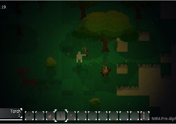 Nira Global Steam Digital Key