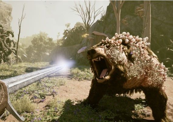 Avowed PRE-ORDER EN Global Xbox Series Digital Key