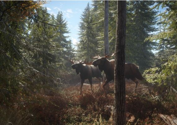 theHunter: Call of the Wild - Emerald Coast Cosmetic Pack DLC EN Global Steam Digital Key