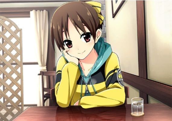 Go! Go! Nippon! ~My First Trip to Japan~ EN/JA Global Steam Digital Key