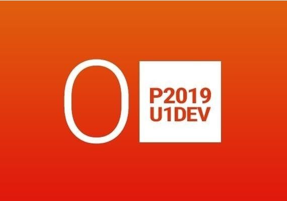 MS Office Professional 2019 EU MS Products Digital Key