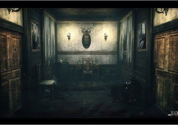 Dark Room EN Global Steam Digital Key