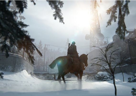 The Last of Us 2 EU Global PS4 Digital Key