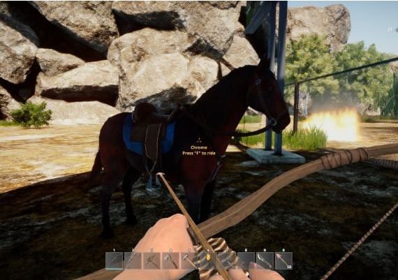 Animallica EN Global Steam Digital Key