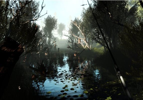 Professional Fishing - Starter Kit Pro DLC EN/DE/FR/IT/PL/RU/ZH/ES Global Steam Digital Key