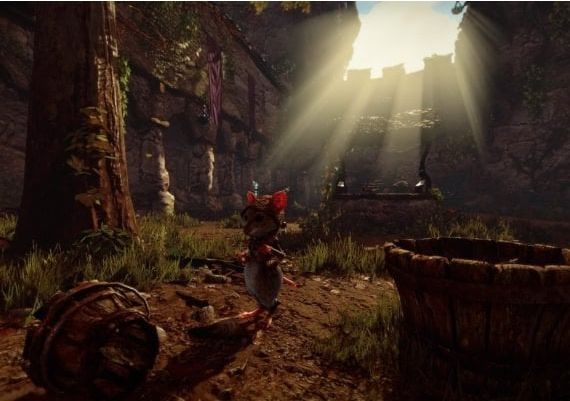 Ghost of a Tale EN/DE/FR/IT/RU/ZH/ES EU Steam Digital Key