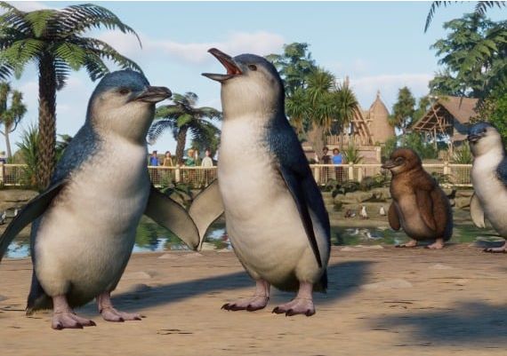 Planet Zoo - Oceania Pack DLC EU Steam Digital Key