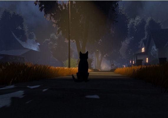 Copycat Global Steam Digital Key