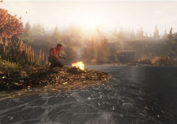 Subsistence Global Steam Digital Key