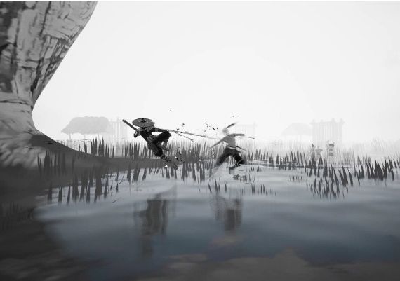 The Matchless KungFu EN/ZH Global Steam Digital Key