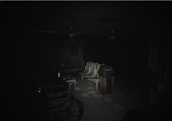 Visage EU Steam Digital Key