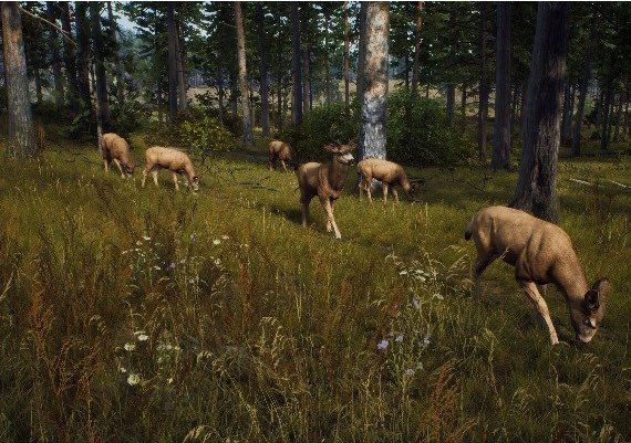 Way of the Hunter - Season Pass DLC EN Argentina Xbox Series Digital Key