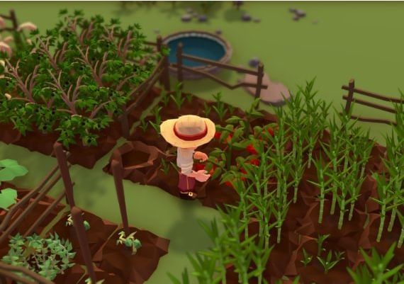 Stranded Sails: Explorers of the Cursed Islands Argentina Xbox One/Series Digital Key