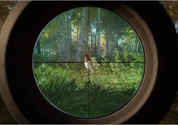 theHunter: Call of the Wild - Revontuli Coast DLC EN Mexico Xbox One/Series Digital Key