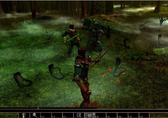 Neverwinter Nights: Wyvern Crown of Cormyr DLC EN Global Steam Digital Key