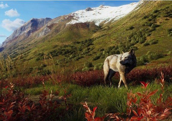 Way of the Hunter: Aurora Shores DLC EN Argentina Xbox Series Digital Key