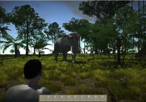 Age of Survival EN/DE/FR/IT Global Steam Digital Key