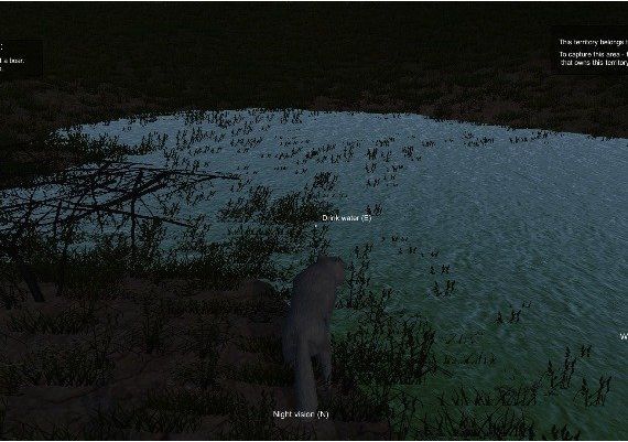 Wolf Simulator EN Global Steam Digital Key