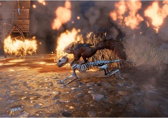 Divinity: Original Sin 2 - Companion: Sir Lora the Squirrel DLC EN/DE/FR/PL/RU/ZH/ES United States Xbox One/Series Digital Key