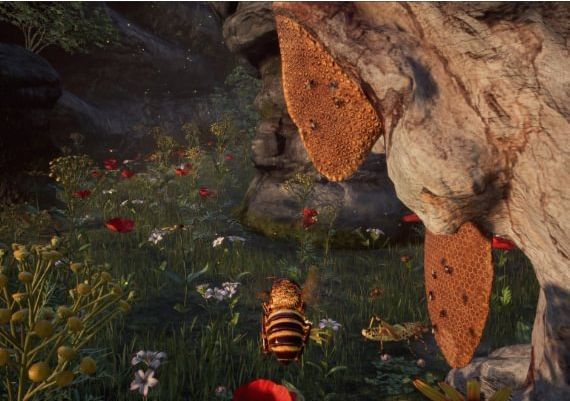 Bee Simulator Argentina Xbox One/Series Digital Key