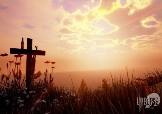 Lifeless EN/DE/FR/IT Global Steam Digital Key