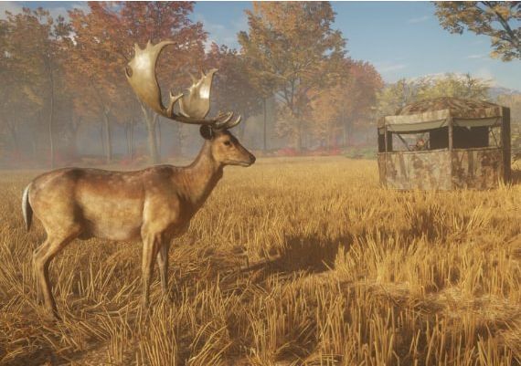 theHunter: Call of the Wild: Tents & Ground Blinds DLC Global Steam Digital Key